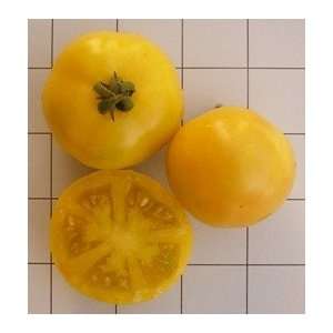  Poma Amoris Minora Lutea Tomato Seeds (6ct)