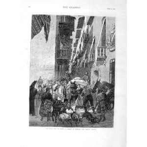   1875 CIVIL WAR SPAIN STREET ESTELLA CARLIST TOWN PIGS