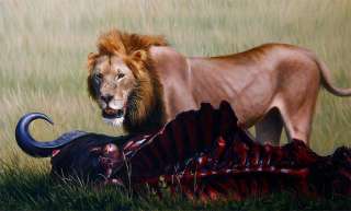 African Lion / Buffalo Original Oil Painting on Canvas Jason Morgan 