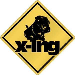 New  Scottish Terrier X Ing / Xing  Crossing Dog  