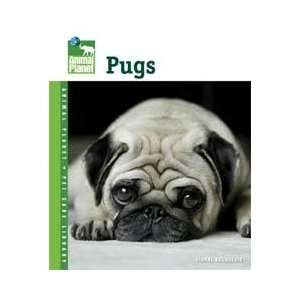  Pugs (Animal Planet)   Ap004   Bci