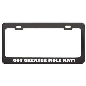 Got Greater Mole Rat? Animals Pets Black Metal License Plate Frame 