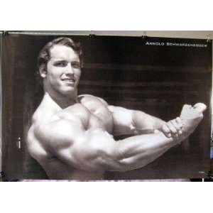 Arnold Schwarzenegger horiz big arms bodybuilding POSTER 31 x 21 black 