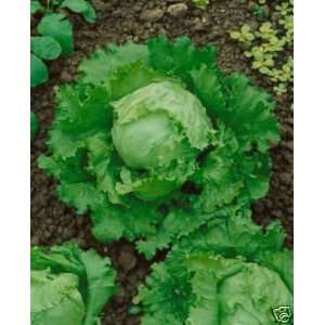   Great Lakes Great Heirloom Vegetable 1,500 Seeds Patio, Lawn & Garden