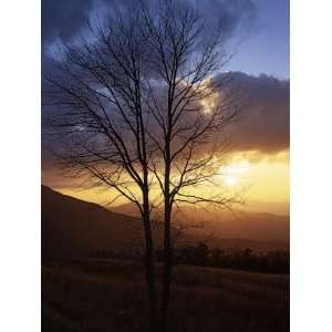 Sunset from Appalachian Trail, Shenandoah National Park, Virginia, USA 