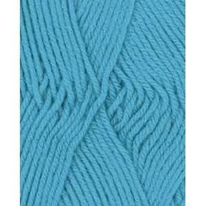  Premier Values Dream Yarn 24 222 Turquoise Arts, Crafts 