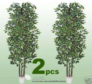 Variegated Ficus 7 Real Wood Artificial Tree INPOT  
