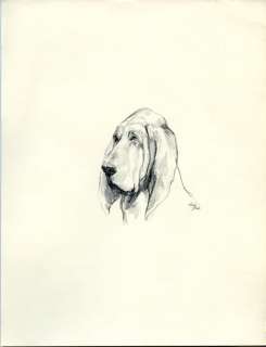 Vintage Drawings Prints Set Dogs Dachshund German Shepherd Saint 