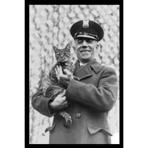   , Tige the White House Cat   Safe and Sound   12x18