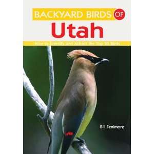  Backyard Birds of Utah   Book Series, Top 25 Common Species 