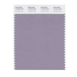  PANTONE SMART 17 3910X Color Swatch Card, Lavender Gray 