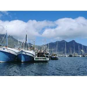  Hout Bay, Fishing Harbour, Near Cape Town, South Africa 