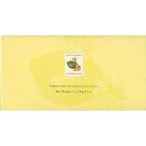  Asquith & Somerset Ginger & Lime Soap Set 3 X 5.3 From 