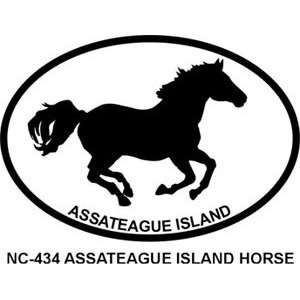  Assateague Island Horse Oval Bumper Sticker Automotive