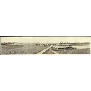  Panoramic Reprint of A Georgia cotton plantation