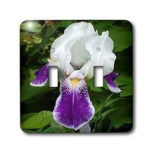  Flowers   Purple Iris   Light Switch Covers   double 
