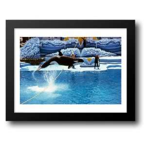 Shamu Killer Whale Sea World San Diego California USA 28x22 Framed Art 