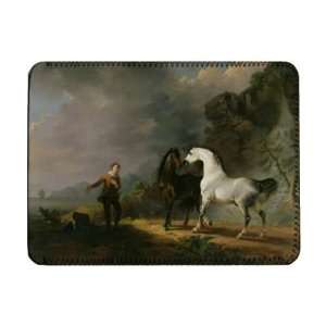  Gulliver Addressing the Houyhnhnms, 1769   iPad Cover 