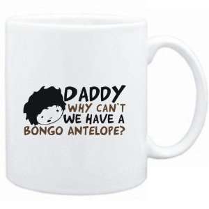   why can`t we have a Bongo Antelope ?  Animals