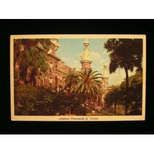 University of Tampa, Florida 60s Chrome Postcard not applicable 