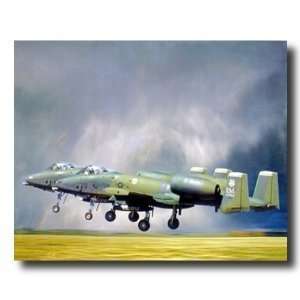  Inc A 10 Thunderbolt Military Fighter Jet Aircraft Airplane Aviation 