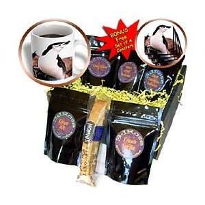Birds   Chinstrap Penguin   Coffee Gift Baskets   Coffee Gift Basket 