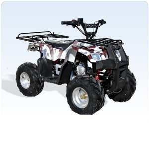 ATV 110cc Mini Mountainer 