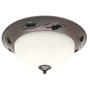  Aztec Ceiling Mount 934CB Electronics