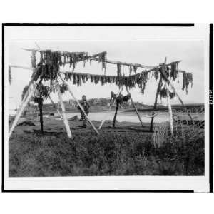  Drying whale meat  Hooper Bay