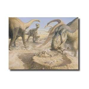 Aucasaurus Dinosaurs Attack Newly Hatched Titanosaur 