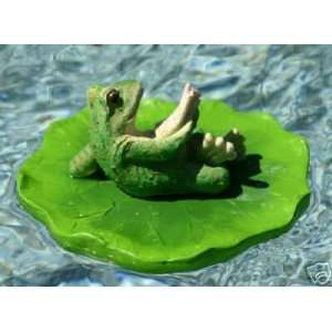    Frog reading on Lily Pad FLoats in Pool or Pond