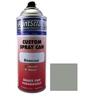  12.5 Oz. Spray Can of Silver Stone Metallic Touch Up Paint 