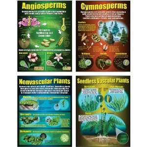  Teaching Poster Set Types of Plants; no. MC P206 Office 