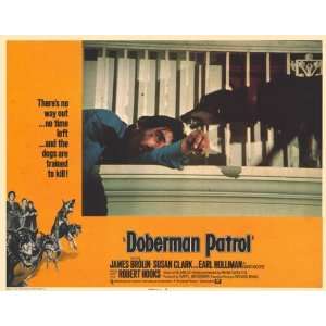  Doberman Patrol Movie Poster (11 x 14 Inches   28cm x 36cm 