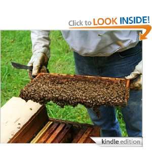 Beekeeping for Fun and Profit Honey B. Hive  Kindle Store