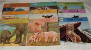 Set of 9 Baby Animals picture books  