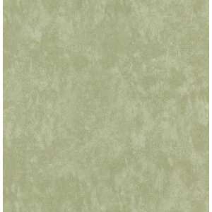  62652 Northwoods Lodge Leather Wallpaper, 20.5 Inch by 396 Inch, Green