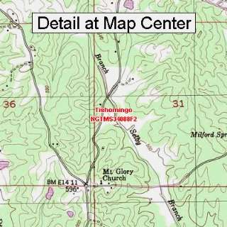  USGS Topographic Quadrangle Map   Tishomingo, Mississippi 