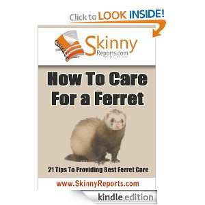 To Care For a Ferret   21 Tips To Providing Best Ferret Care (Skinny 