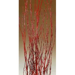  Red Birch Branches 3 4 Ft, Pack of 5   Fire Red Patio 