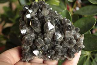   314g Tibetan Lemurian Black Quartz Crystal/Channel​ing Point Cluster