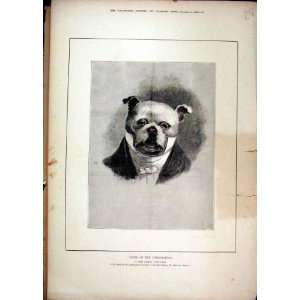  1880 Theatre Dogs Corporation Common Councilman