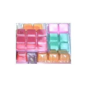  Soy Wax Tarts 100% Soy Wax Scent Witches Brew