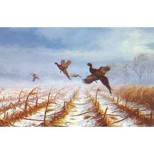  David Maass   December Squall   Pheasants