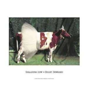    Ballerina Cow   Poster by Barry Downard (20x16)