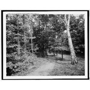   Path to the steamer,Hotel Champlain,Bluff Point,N.Y.