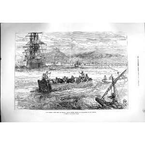  1878 British Army Cyprus Horses Roadstead Larnaca Ship 