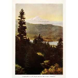  1912 Print Columbia River Mount Hood White Salmon 