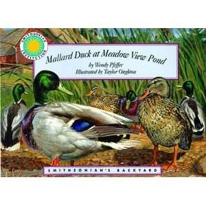 com Mallard Duck at Meadow View Pond   a Smithsonians Backyard Book 