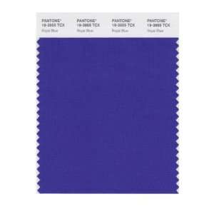   PANTONE SMART 19 3955X Color Swatch Card, Royal Blue